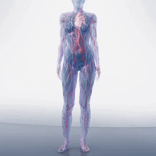 Masseur Plantaire Ultra Puissant